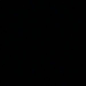 Meet your Posher, Hana